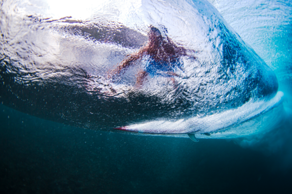 inside barrel surfer