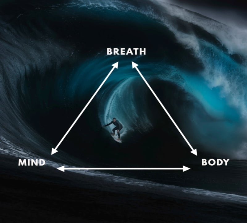 feedback loop mind breath body